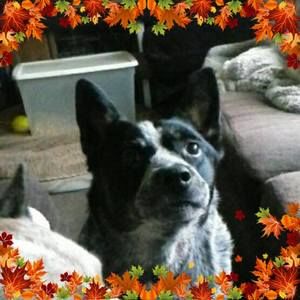 Meet your Posher, Tamara